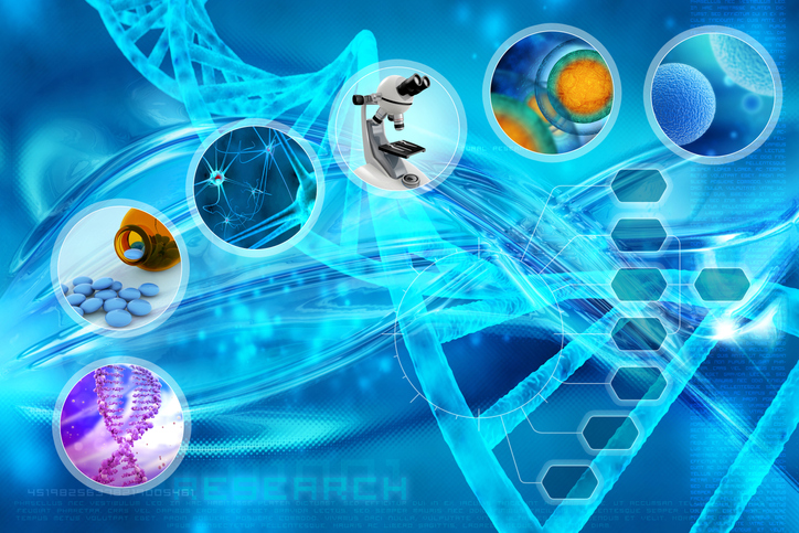 Next Generation Sequencing (NGS)
